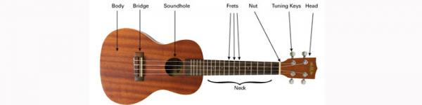 SUN 3/19 - NUKULELE EXPLOSION: A UKULELE EXPOSITION & REVIEW